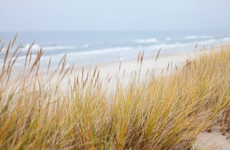 Duenen_Gras_Meer Logevy Raumduft